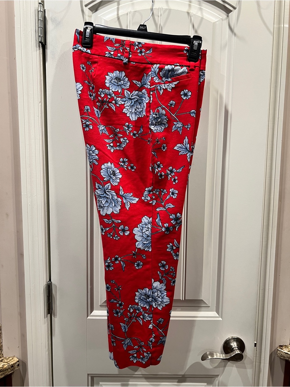 Roz & Ali Red Floral Print Pants Sz 12p